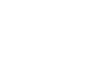 instant download